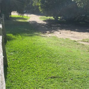 Goanna Manor - K'gari Holiday House